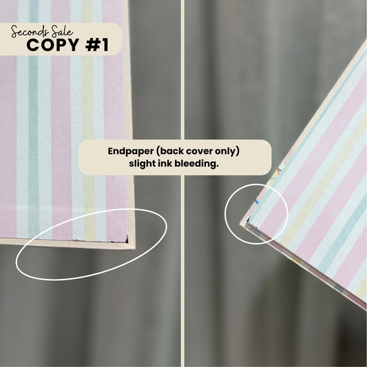 Brave Beginnings - SECONDS SALE (Imperfect Copies)