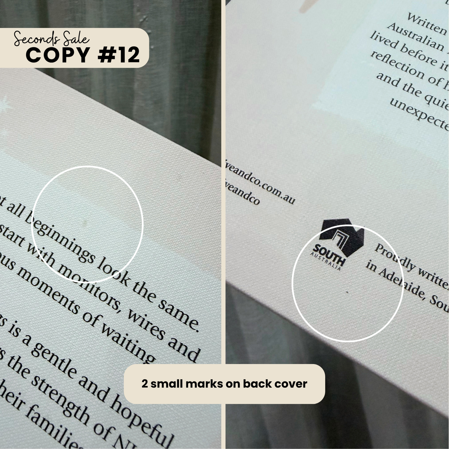 Brave Beginnings - SECONDS SALE (Imperfect Copies)